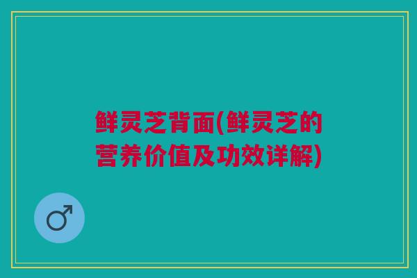 鲜灵芝背面(鲜灵芝的营养价值及功效详解)
