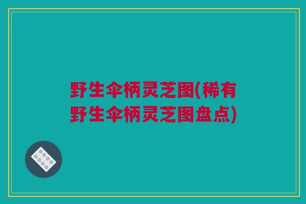 野生伞柄灵芝图(稀有野生伞柄灵芝图盘点) 野生伞柄灵芝图(稀有野生伞柄灵芝图盘点)