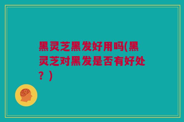 黑灵芝黑发好用吗(黑灵芝对黑发是否有好处？)