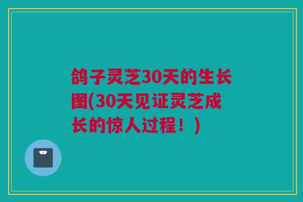 鸽子灵芝30天的生长图(30天见证灵芝成长的惊人过程！)