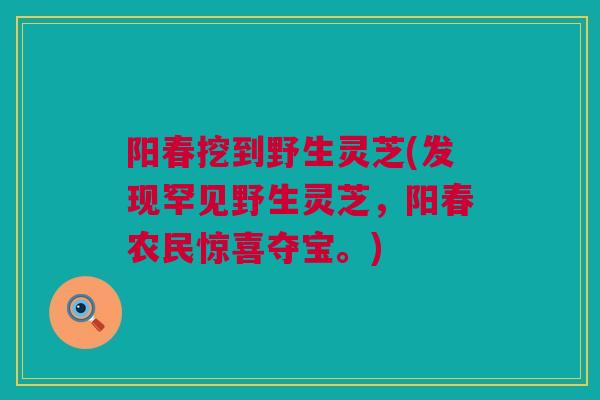 阳春挖到野生灵芝(发现罕见野生灵芝，阳春农民惊喜夺宝。)