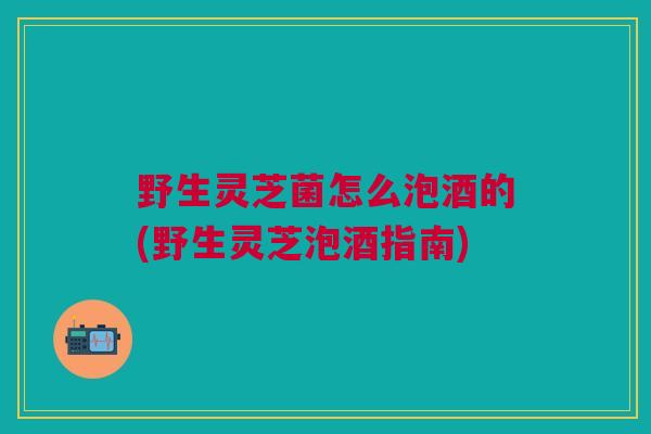 野生灵芝菌怎么泡酒的(野生灵芝泡酒指南)