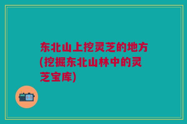 东北山上挖灵芝的地方(挖掘东北山林中的灵芝宝库)